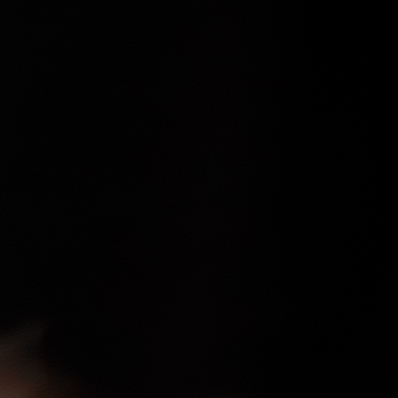 Topcoat - Picture 4 of 6